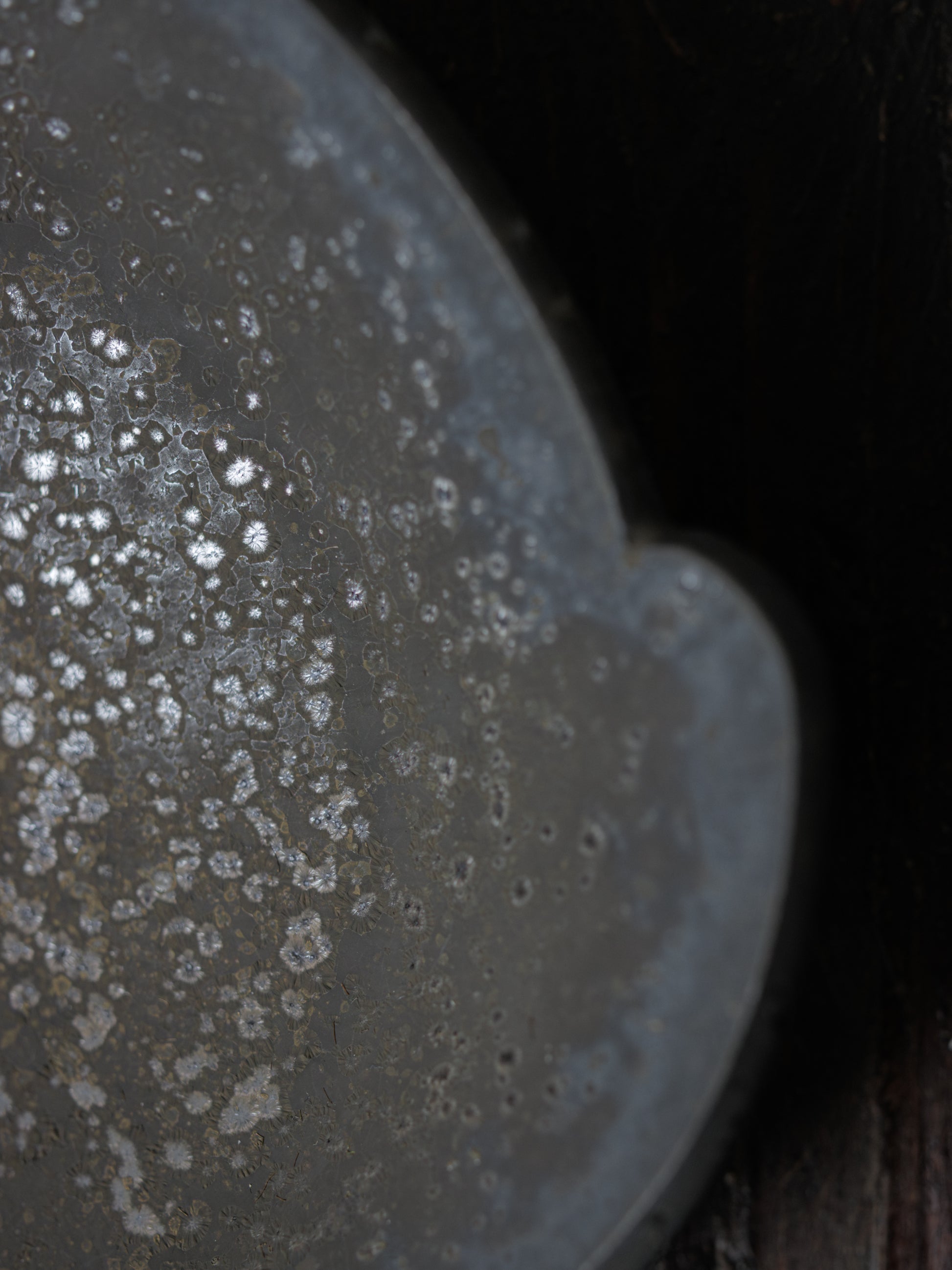 Object by 1218 x Professor.E｜Tray